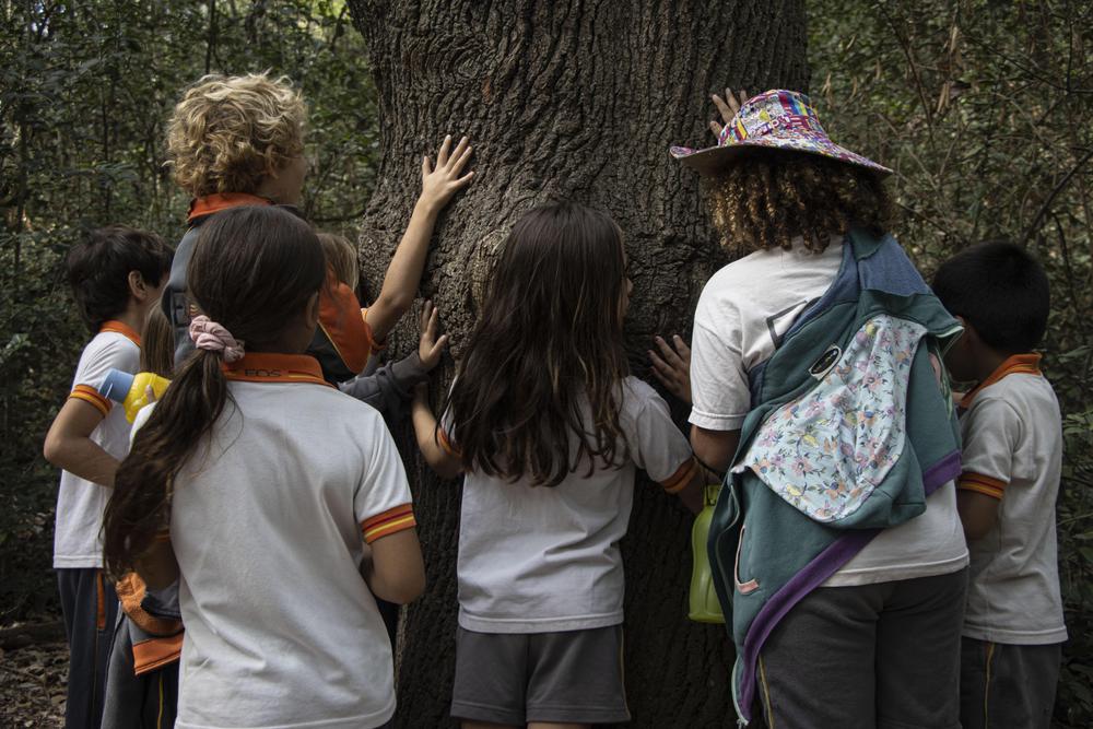 escuelas en los robles_44