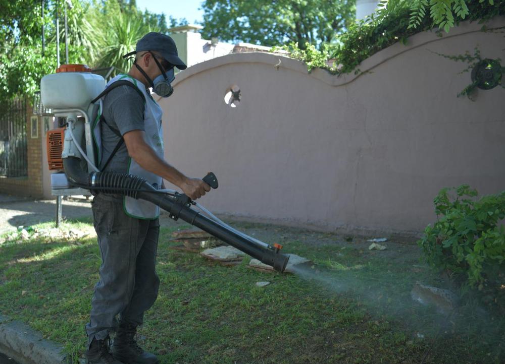Fumigación Dengue