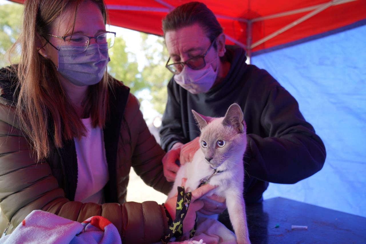DIA MUNDIAL CONTRA LA RABIA