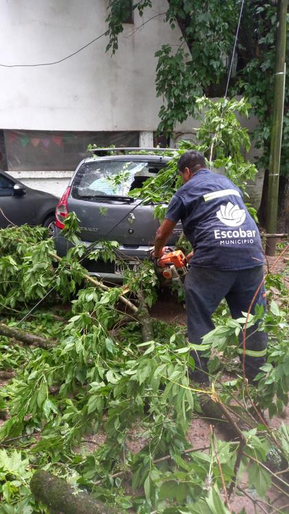 unnamed - 2024-01-09T145108.631