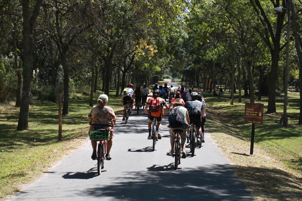 ACTIVIDADES EN LOS ROBLES