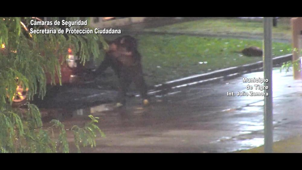 unnamed - 2024-04-17T101412.833