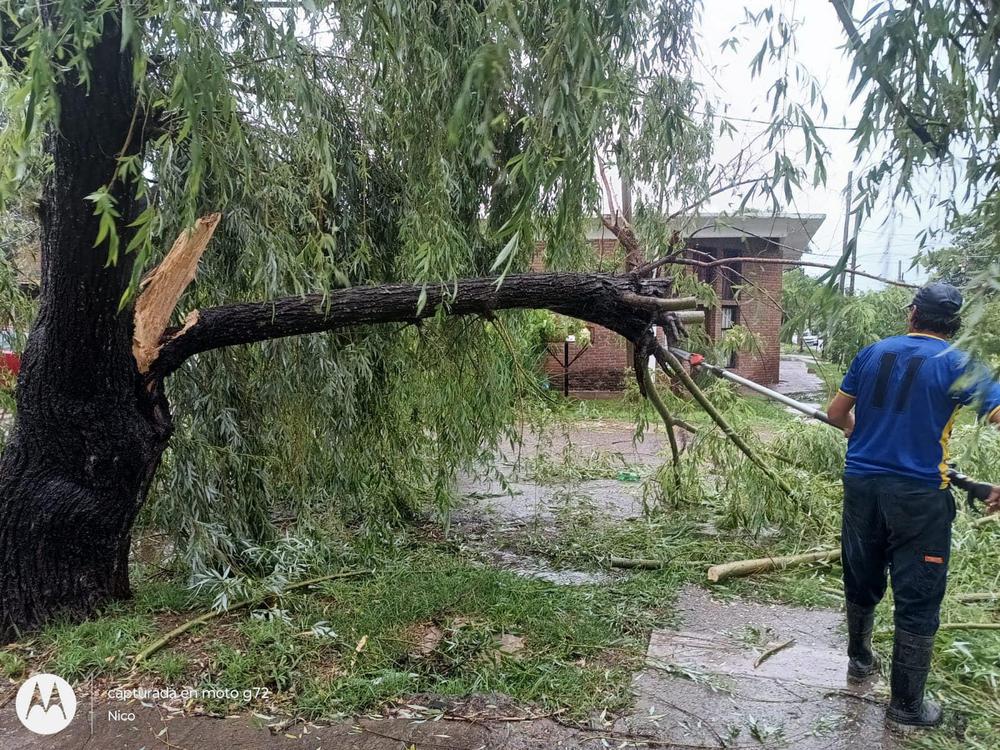 unnamed - 2024-01-09T145118.850