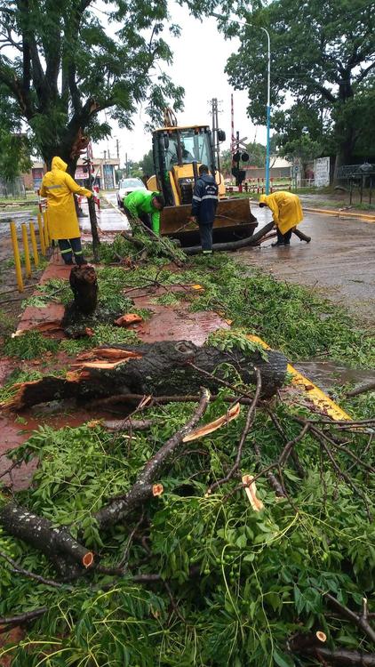 unnamed - 2024-01-09T145131.545