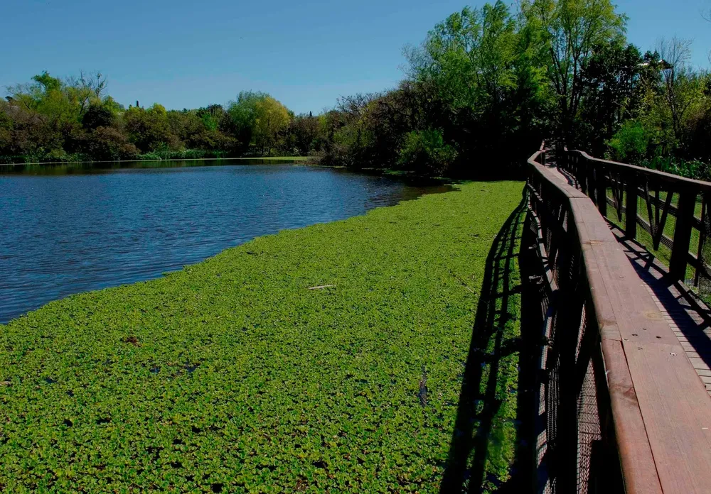 Reserva Ecológica VL (2)
