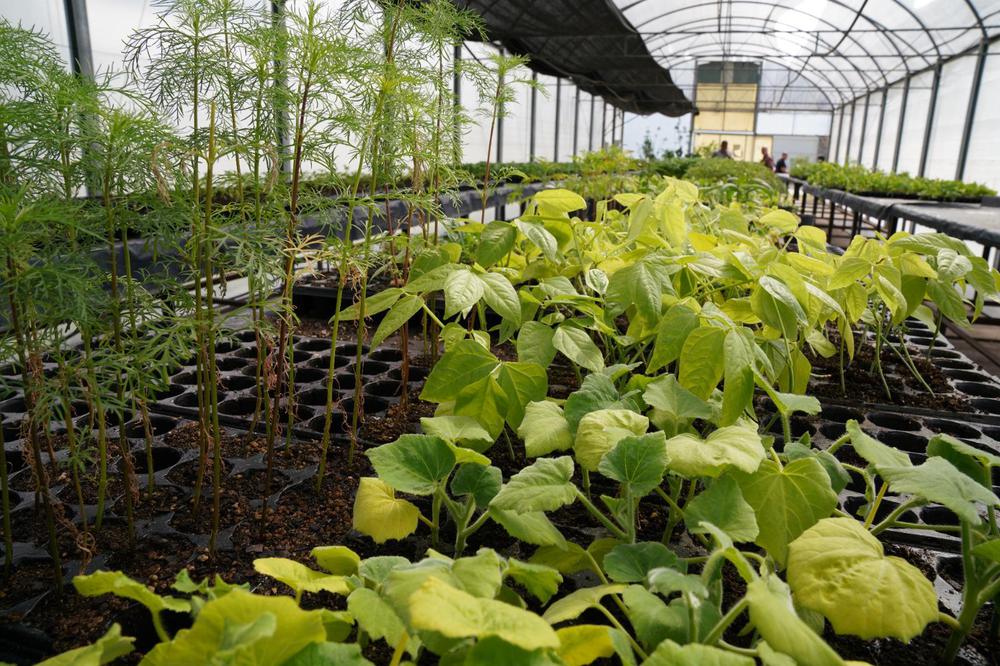 PROMOTORES AGROECOLÓGICOS