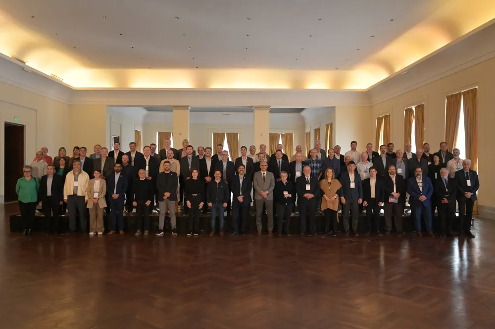 Programa Puentes (2)