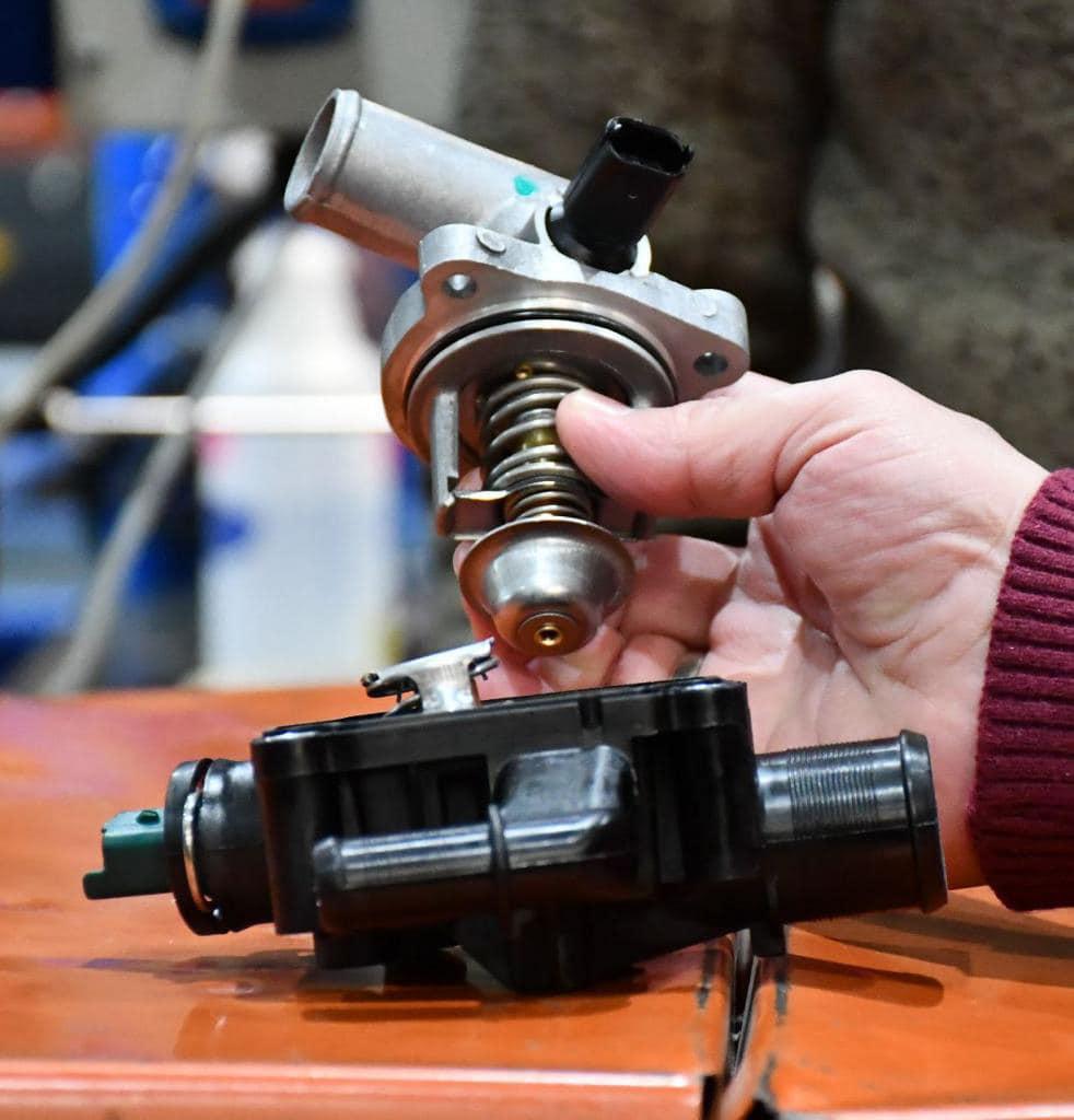 355674029_10229340384202983_3003625040250079808_n (1)