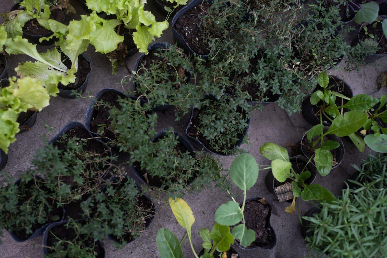 WhatsApp Image 2024-05-29 at 07.05.25 (1)