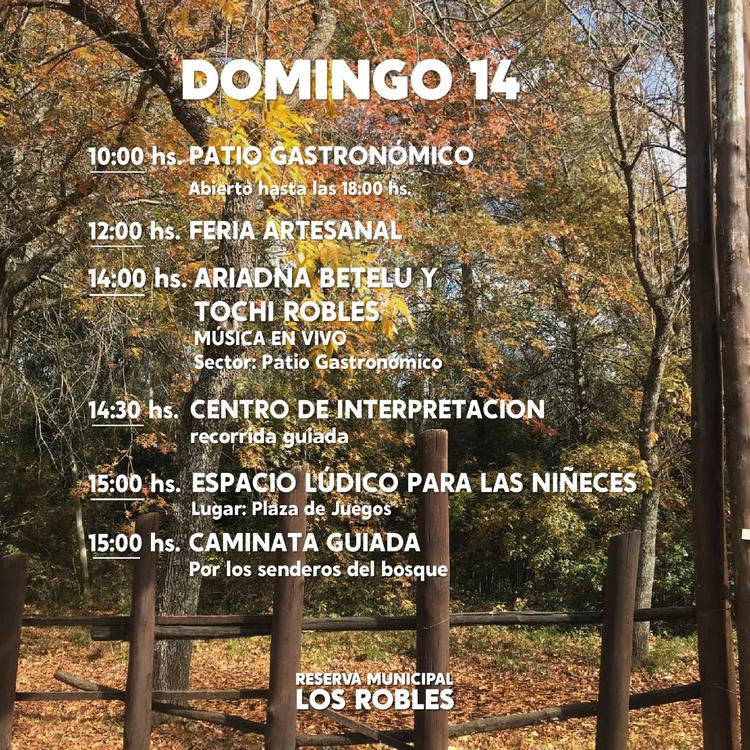 domingo en los robles