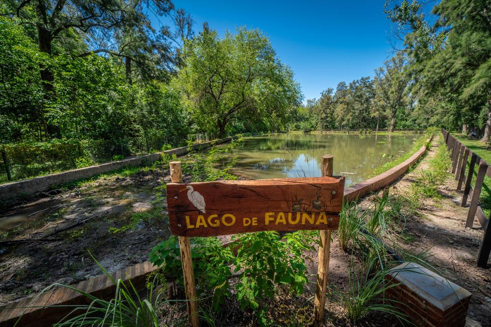 Lago de Fauna, Los Robles