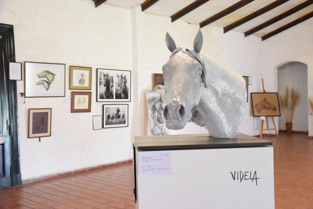 WhatsApp Image 2023-08-16 at 13.34.36 (1)