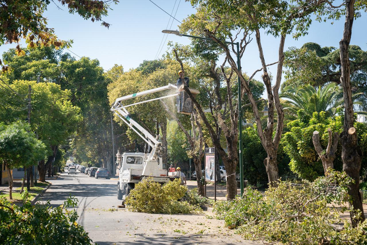 WhatsApp Image 2024-07-18 at 3.10.45 PM