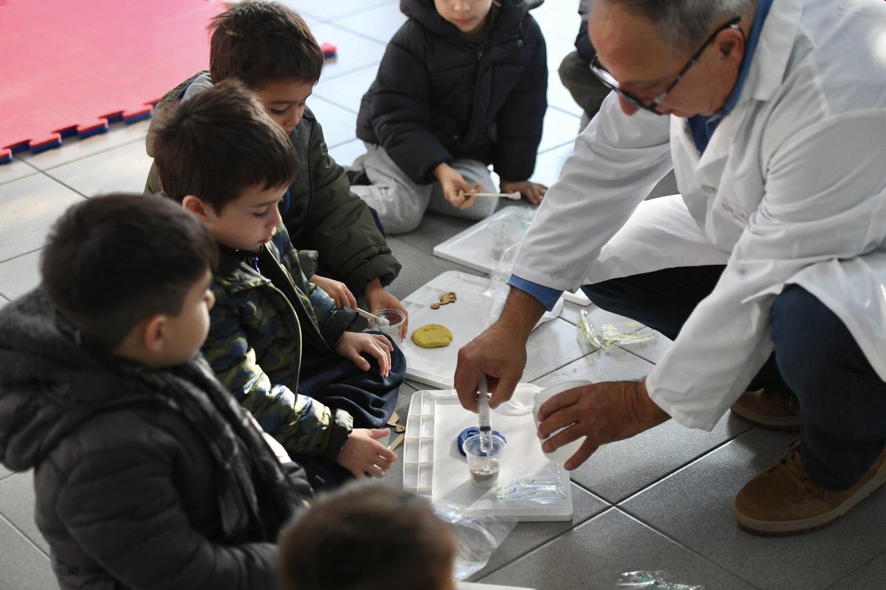 Colonias de invierno VL 1