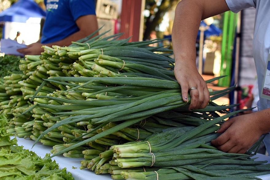 EI-canasta ahorro telam