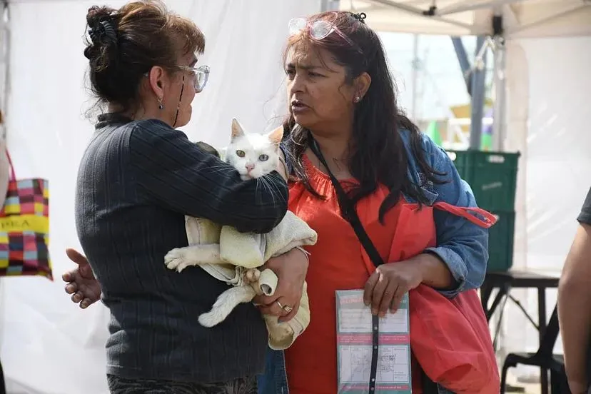 unnamed - 2024-10-01T224155.428