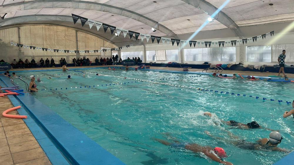 WhatsApp Image 2024-08-10 at 11.31.21 AM