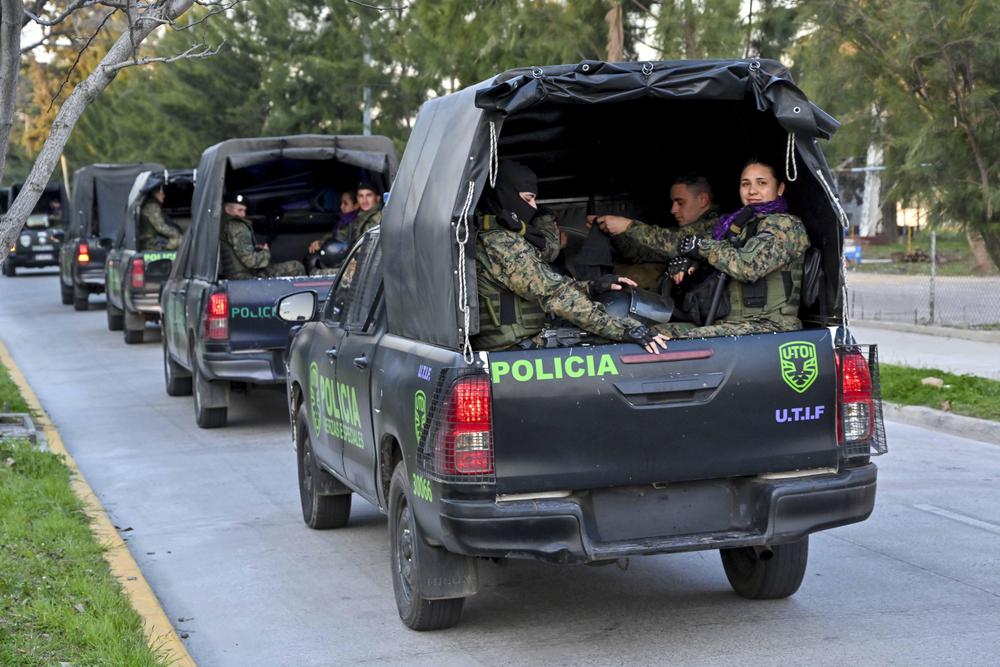 Participaron más de 15 móviles para desplegar acciones dinámicas y simultáneas hasta la madrugada en distintos barrios