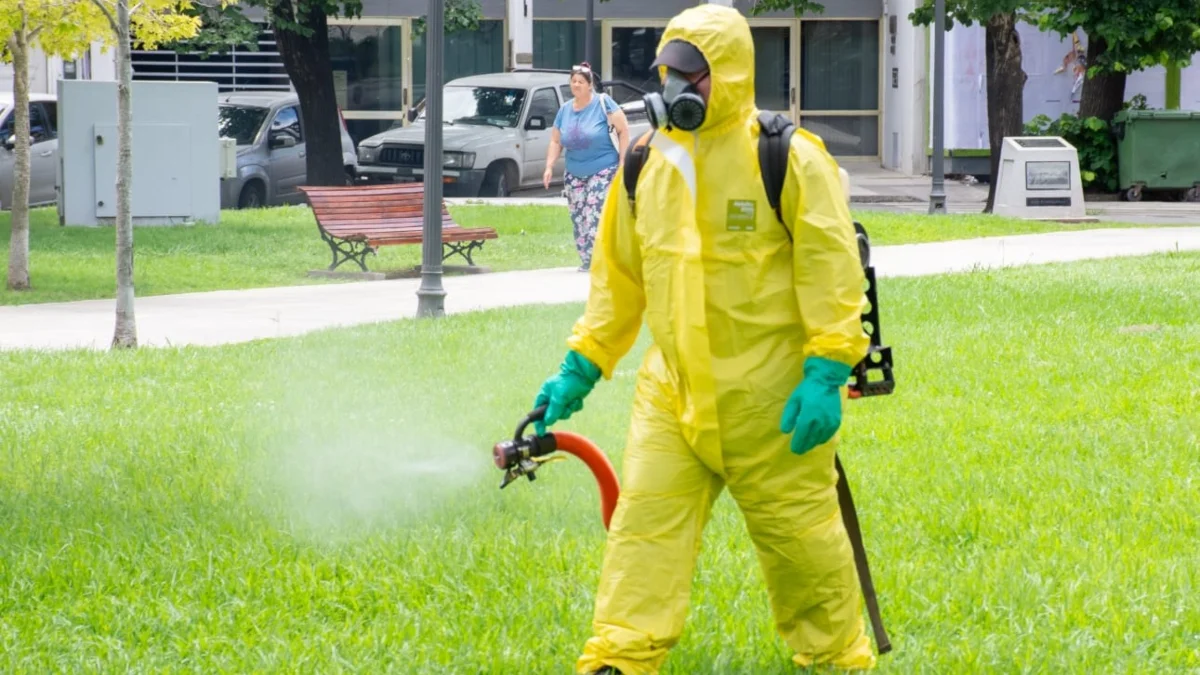 san nicolas fumigaciones